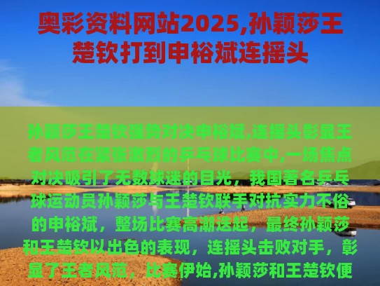 合作伙伴 第462页