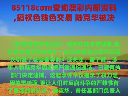 85118cσm查询澳彩内部资料,搞权色钱色交易 陆克华被决定逮捕