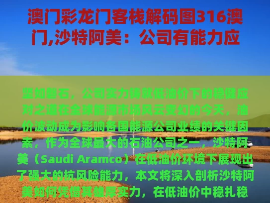 澳门彩龙门客栈解码图316澳门,沙特阿美：公司有能力应对低油价