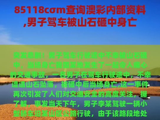 85118cσm查询澳彩内部资料,男子驾车被山石砸中身亡