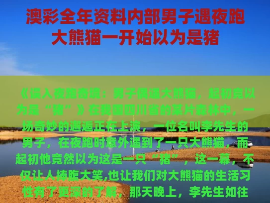 澳彩全年资料内部	男子遇夜跑大熊猫一开始以为是猪