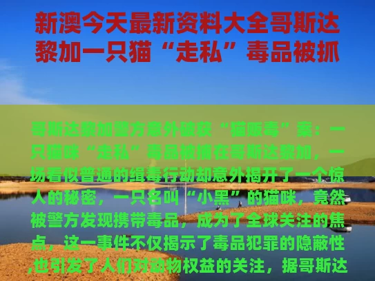 admin 第2318页