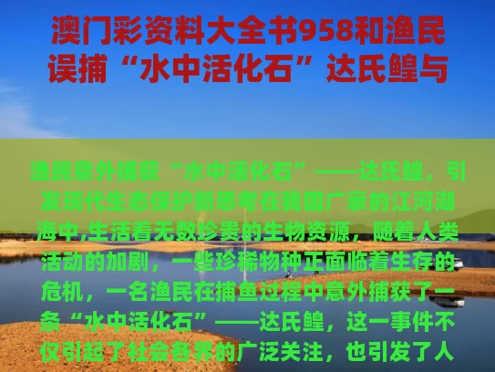 澳门彩资料大全书958和渔民误捕“水中活化石”达氏鳇与